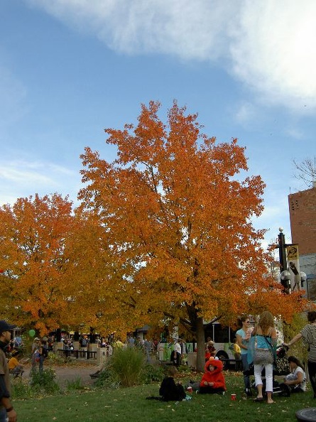 Colorado Attractions in September: A Guide to Fall Foliage, Outdoor Adventures, and Festivals